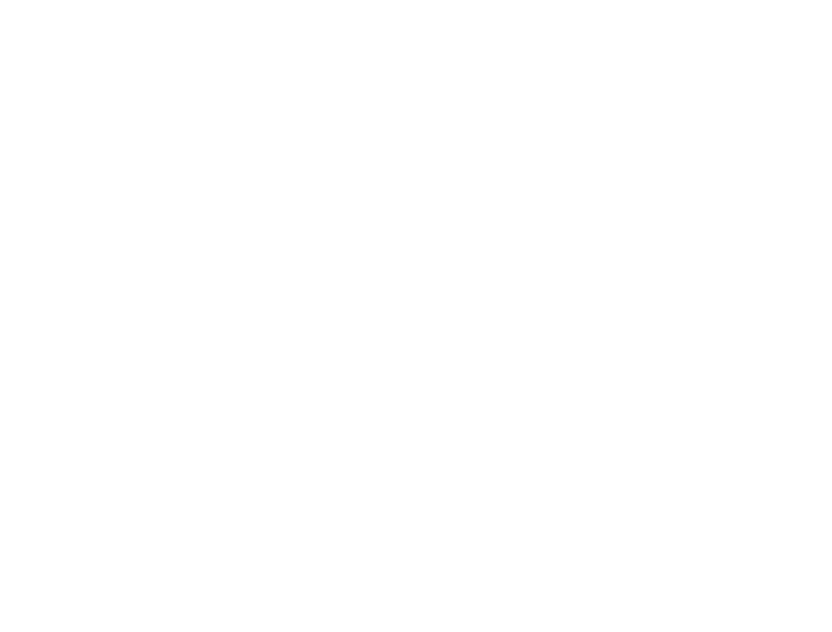 ORWEY-M Logo